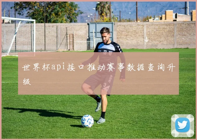 世界杯api接口推动赛事数据查询升级