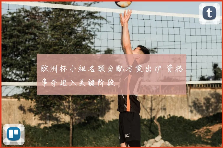 欧洲杯小组名额分配方案出炉 资格争夺进入关键阶段