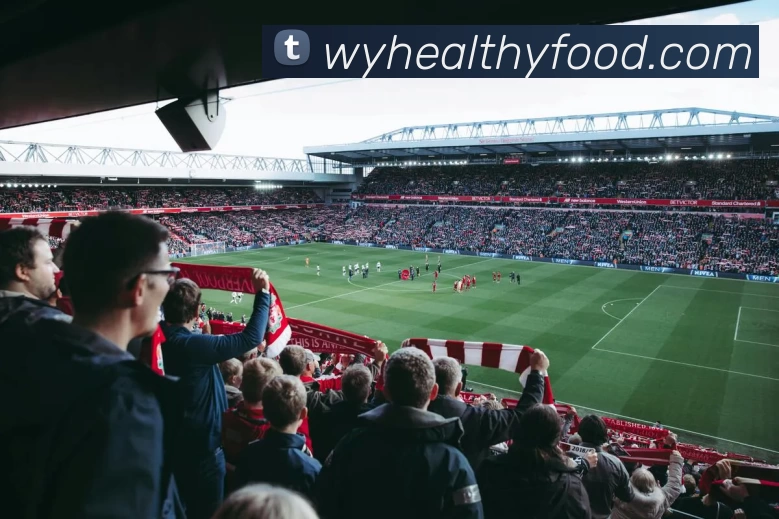 App Interface Preview